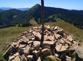 Tour Wandern La Pesse - Le Berbois Crêt aux Merles  - Photo