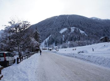 Randonnée A pied La Thuile - (SI F05) Rifugio Deffeyes - La Thuile - Photo