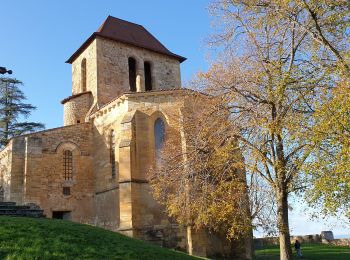 Excursión Senderismo Vertaizon - Tour du puy de Mur_T - Photo