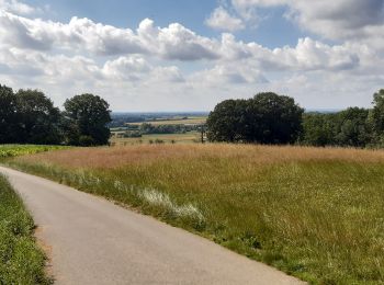 Randonnée Marche Saint-Jans-Cappel - La cordillère des Flandres - Photo