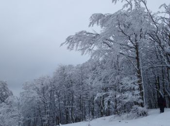 Randonnée Raquettes à neige Le Valtin - raquettes Printemps 2021 - Photo