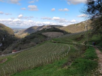 Excursión Senderismo Boyeux-Saint-Jérôme - Boyeux-Lhuire-St Jérôme - Photo