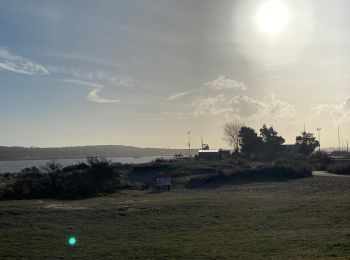 Randonnée Marche Le Touquet-Paris-Plage - Le Touquet : promenade de la Canche, par la mer - Photo