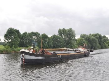 Tocht Te voet Zwolle - WNW IJsseldelta - Het Hoge Laar/Westerveldsebos -blauwe route - Photo