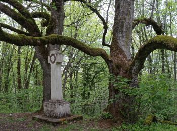 Excursión Senderismo Velars-sur-Ouche - '2021.05.15 Velars - Photo