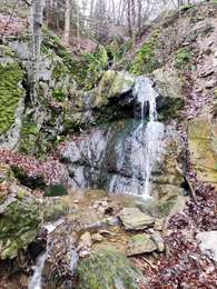 Trail Walking Theux - Promenade vers la cascade de Haldeboeuf  - Photo