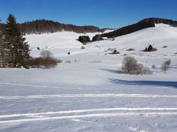 Trail Snowshoes La Pesse - L'embossieux-la Pourvoirie - Photo