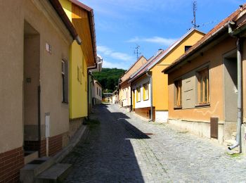 Percorso A piedi Rozdrojovice - [M] Žebětín - Rozdrojovice - Photo