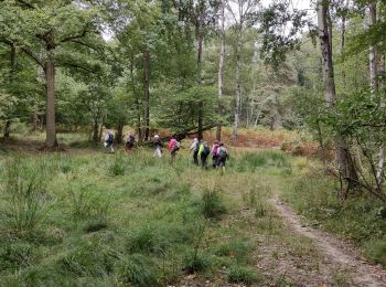 Excursión Senderismo Saint-Mard - rando autour de Dammartin Juilly  - Photo