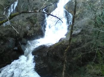 Tour Zu Fuß Forgès - La cascade de Murel - Photo