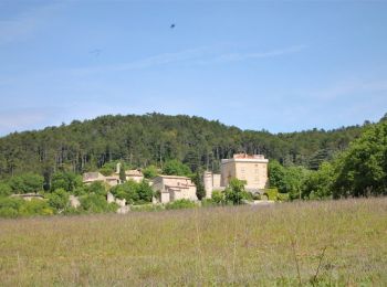 Randonnée Marche Condillac -  Condillac Borne Rousse et le Grand Travers 11km - Photo