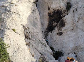 Percorso Arrampicata  Marsiglia - Candelle Accès par le haut  - Photo