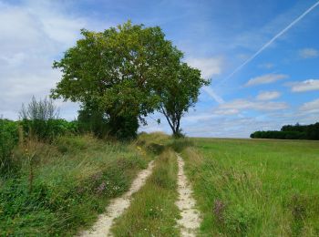 Trail Walking Crissay-sur-Manse - Crissay-sur-Manse - Neuil Avon-les-Roches - 24.9km 370m 5h20 (30mn) - 2021 07 11 - Photo