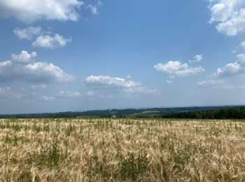 Trail Walking Ciney - Chevetogne   Chapoit  - Photo