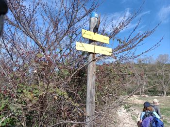 Tocht Stappen Aureille - les Alpilles d aureille - Photo