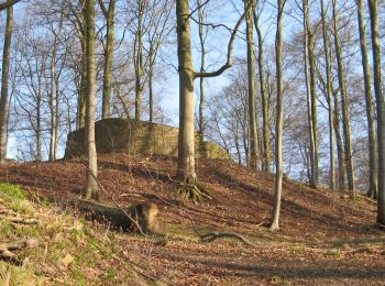 Excursión A pie Rotenburg an der Fulda - Heienbach-Tour - Photo