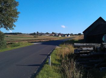 Tour Zu Fuß Gemeinde Grafenschlag - Walpurgisweg - Photo