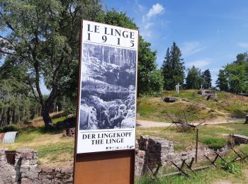 Randonnée Marche Hohrod - Circuit historique 1914-1918 Hohrodberg - Linge - Photo