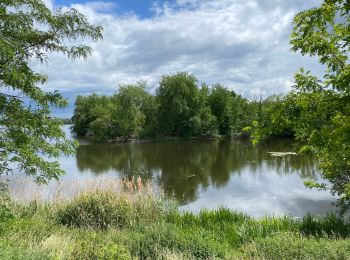 Tour Wandern Condé-sur-l'Escaut - Condé sur l’Escaut 15,4 km - Photo