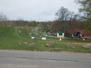 Randonnée A pied Visegrád - K▲ (Visegrád, Várkert am. - Visegrád, Mogyoróhegy - Nagy-Villám, Zsitvay-kilátó) - Photo