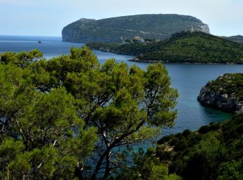 Percorso A piedi Alghero - Sentiero principale - Photo