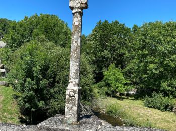 Trail Walking Saint-Chély-d'Aubrac - St Chelsy, Aubrac, Les Enfrux - Photo