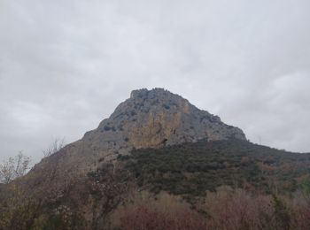 Randonnée Marche Volx - VOLX . TOUR DE LA ROCHE AMÈRE 0 L M - Photo