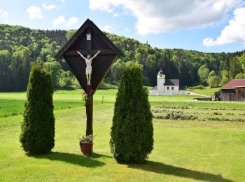 Tour Zu Fuß Kipfenberg - Rundwanderweg Kipfenberg 15 - Photo