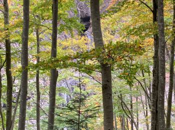 Tour Wandern Péreyres - Raypic après midi - Photo