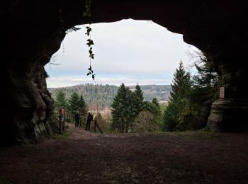 Randonnée Marche Walscheid - 20220313 - rando Walscheid - cimetière galllo-romain, grotte St-Léon - Photo