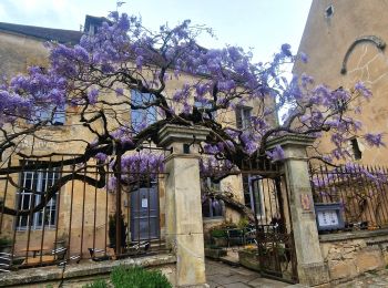 Randonnée Marche Auxerre - auxerre vezelay - Photo