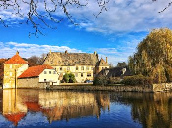 Tour Zu Fuß Halle (Westf.) - Haller Rundweg A8 - Photo