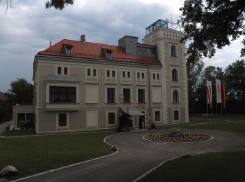 Tour Zu Fuß Gemeinde Leopoldsdorf - Augenblick Runde - Photo