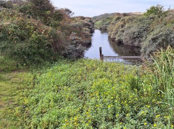 Trail Walking Veere - veere - Photo