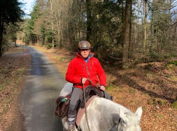 Excursión Paseo ecuestre Badonviller - Tour du lac de pierre percée  - Photo