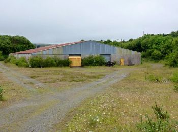 Tocht Te voet West Cork - Delish Cascade Walk - Photo