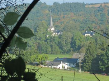 Excursión A pie Adenau - Auf den Spuren der Ordensritter - Photo