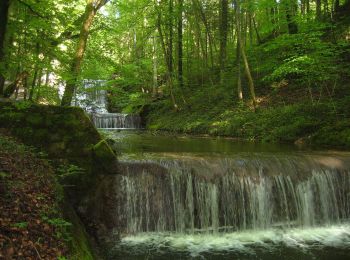 Tour Zu Fuß Küsnacht - Küsnachter Tobel - Blüemlisalp - Photo