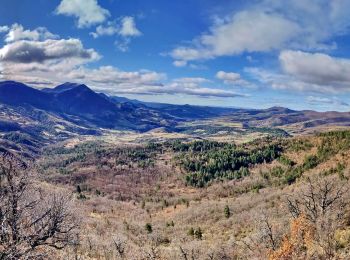 Trail Walking Le Castellard-Mélan - Sentier des Brigants - Photo