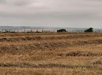 Percorso Marcia Vincly - Les hauts de VINCLY  - Photo