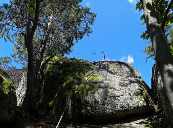 Tour Zu Fuß Kefermarkt - Burgen- und Schlösserweg - Photo