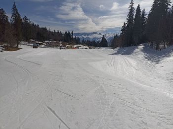 Percorso Sci di fondo Autrans-Méaudre en Vercors - Meaudre  - Photo