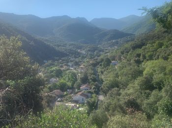 Percorso Marcia Laroque-des-Albères - RP66 LAROQUE VALLÉE HEUREUSE SOREDE.  - Photo