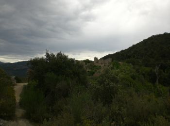 Randonnée A pied Sant Vicenç de Castellet - SL-C 61 A Sant Jaume de Vallhonesta pel camí dels Maquis - Photo