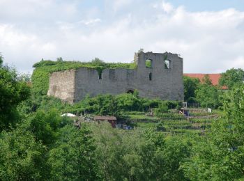 Trail On foot Besigheim - Flößerweg - Photo