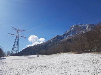 Randonnée V.T.T. Seyssins - Petite escapade électrique au-dessus de 38 Seyssins - Photo