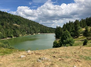 Randonnée Marche Soultzeren - Lac vert forlet - Photo