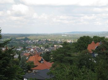 Excursión A pie Alsbach-Hähnlein - Rundwanderweg Alsbach-Hähnlein Herzog-Ulrich-Ruhe 4: Hoboken-Weg - Photo