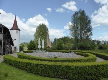 Randonnée A pied Ettiswil - Riedbruggmüli - Grosswangen - Photo