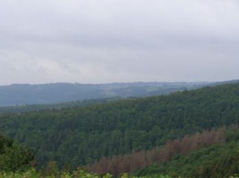 Percorso A piedi Nideggen - Schmidter Runde - Photo